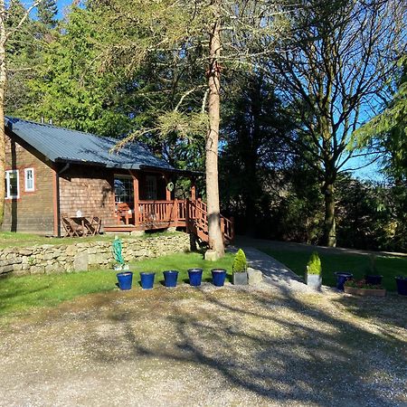 Willow Lodge ダブリン エクステリア 写真