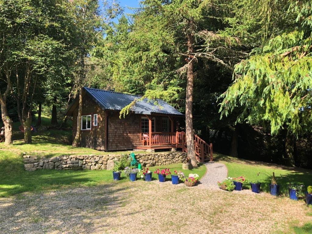 Willow Lodge ダブリン エクステリア 写真
